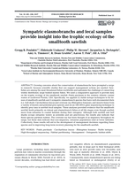 Sympatric elasmobranchs and fecal samples provide insight into the trophic ecology of the smalltooth sawfish