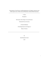 Determination of the Presence and Biomagnification of Caribbean ciguatoxins and benthic algal toxins in fishes from the Florida Keys National Marine Sanctuary