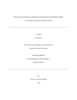 Mercury Exposure Pathways and Risks for Neonatal and Juvenile Blacktip Sharks (Carcharhinus limbatus) of Charlotte Harbor