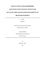Coastal wetland geomorphic and vegetative change:  effects of sea-level rise and water management on brackish marshes
