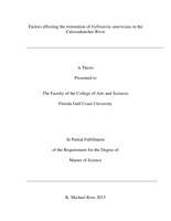 Factors affecting the restoration of Vallisneria americana in the Caloosahatchee River