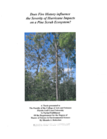 Does fire history influence the severity of hurricane impacts on a pine scrub ecosystem?