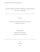 THE USE OF TELEHEALTH IN PHYSICAL THERAPY FOR A PATIENT WITH LOW BACK PAIN:  A CASE REPORT