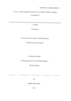 Evaluation and diagnosis of an athlete with lumbar instability
