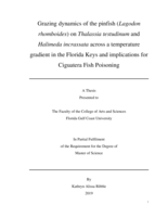 Grazing dynamics of the pinfish (Lagodon rhomboides) on Thalassia testudinum and Halimeda incrassata across a temperature gradient in the Florida Keys and implications for Ciguatera Fish Poisoning