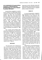 The occurrence of Gunterichthys longipenis (Osteichthyes: Bythitidae) in a southwest Florida estuary