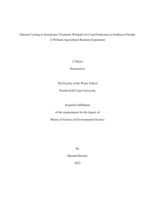 Nutrient Cycling in Stormwater Treatment Wetlands for Crop Production in Southwest Florida: A Wetland-Agricultural Rotation Experiment