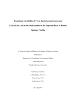 Examining Variability of Fecal Bacteria (enterococci and Escherichia coli) in the tidal reaches of the Imperial River in Bonita Springs, Florida