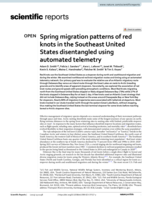 Spring migration patterns of red knots in the Southeast United States disentangled using automated telemetry