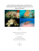 Effects of substrate type, depth, hurricanes, and proximity to the Caloosahatchee River plume on epibenthic community structure in the Southwest Florida Shelf