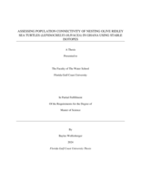 Assessing population connectivity of nesting olive ridley sea turtles (Lepidochelys olivacea) in Ghana using stable isotopes