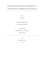 Examination of hydrogen peroxide and L-lysine algaecides as an ecological solution for the mitigation of Microcystis aeruginosa