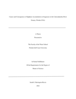 Causes and Consequences of Epiphyte Accumulation on Seagrasses in the Caloosahatchee River Estuary, Florida (USA)