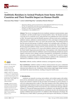 Antibiotic Residues in Animal Products from Some African Countries and Their Possible Impact on Human Health