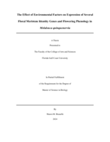 The Effect of Environmental Factors on Expression of Several Floral Meristem Identity Genes and Flowering Phenology in  Melaleuca quinquenervia