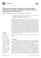 Advancements in Lignin Valorization for Energy Storage Applications: Sustainable Technologies for Lignin Extraction and Hydrothermal Carbonization