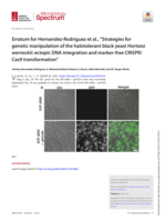 Erratum for Hernandez-Rodriguez et al., “Strategies for genetic manipulation of the halotolerant black yeast Hortaea werneckii: ectopic DNA integration and marker-free CRISPR/Cas9 transformation”