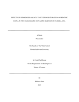 Effects of Submerged Aquatic Vegetation REstoration on Benthic Fauna in Two Oligohaline Estuarine Habitats in Florida, USA.