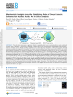 Mechanistic Insights into the Stabilizing Role of Deep Eutectic Solvents for Nucleic Acids: An In Silico Analysis