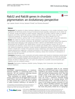 Rab32 and Rab38 genes in chordate pigmentation: an evolutionary perspective