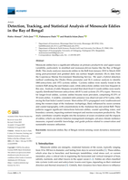 Detection, tracking, and statistical analysis of mesoscale eddies in the Bay of Bengal