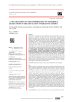 AN EXAMINATION ON THE CONSTRUCTION OF NEOLIBERAL SUBJECTIVITY IN THE CONTEXT OF INTERACTIVE CINEMA