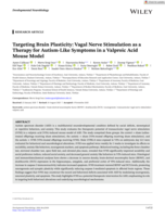 Targeting Brain Plasticity: Vagal Nerve Stimulation as a Therapy for Autism-Like Symptoms in a Valproic Acid Mouse Model