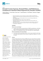 Prenatal Cocaine Exposure, Perinatal Risks, and Mediators to Preadolescent Attention Deficit Hyperactivity Disorder (ADHD)