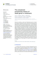 The unexplored evolutionary history of Nedd genes in metazoans
