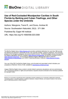 Use of Red-Cockaded Woodpecker Cavities in South Florida by Barking and Cuban Treefrogs, and Other Species under the Umbrella